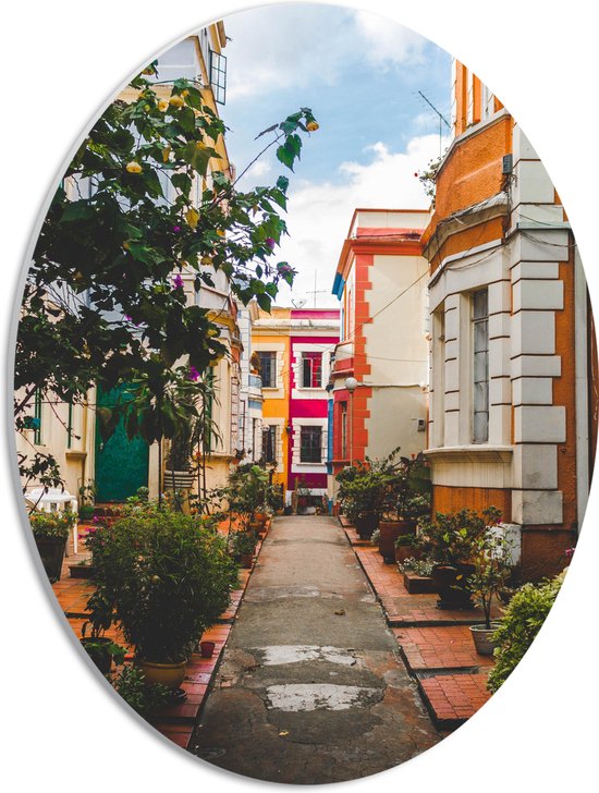 PVC Schuimplaat Ovaal - Gele Roze en Oranje Huizen in een Straat - 30x40 cm Foto op Ovaal (Met Ophangsysteem)
