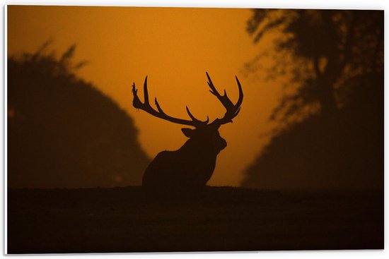 WallClassics - PVC Schuimplaat - Silhouette van Hert - 60x40 cm Foto op PVC Schuimplaat (Met Ophangsysteem)