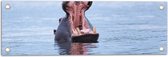 WallClassics - Affiche de jardin – Hippopotame dans l' Water - Photo 60x20 cm sur affiche de jardin (décoration murale pour l'extérieur et l'intérieur)