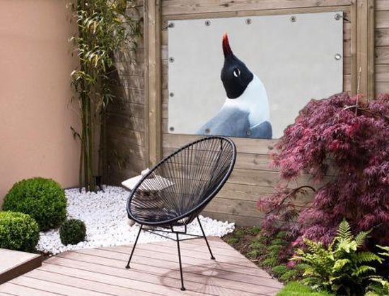Poster Jardin mouette souriante 120x80 cm - Toile de jardin / Toile d'extérieur / Peintures d'extérieur (décoration de jardin)