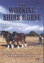 Working Shire Horse (DVD)