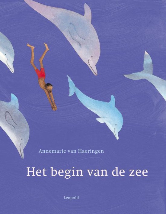 Cover van het boek 'Het begin van de zee' van Annemarie van Haeringen