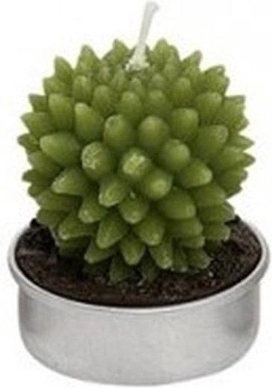 Cactus waxinelichtje 5 cm type 3
