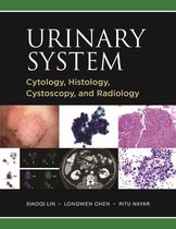 Notes on the anatomy of the urinary system
