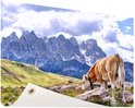 Banner met een koe in de Alpen, met de bergen op de achtergrond.