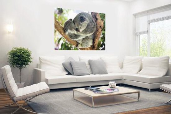 Cuddling koala mother and joey Poster 180x120 cm - Tirage photo sur Poster (décoration murale salon / chambre) / Poster Animaux XXL / Groot format!