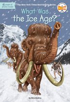 What Was? - What Was the Ice Age?