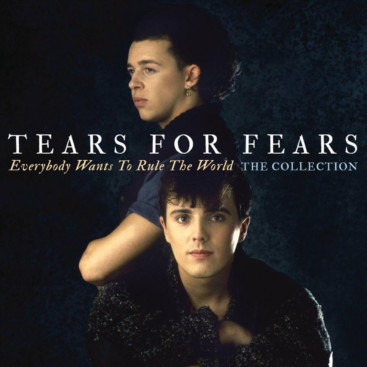 Everybody Wants to Rule the World The Collection, Tears For Fears CD (album) Muziek