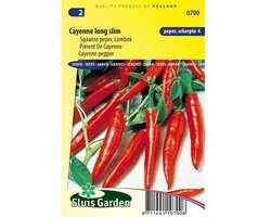Sluis Garden - Peper Spaanse  Cayenne Long Slim