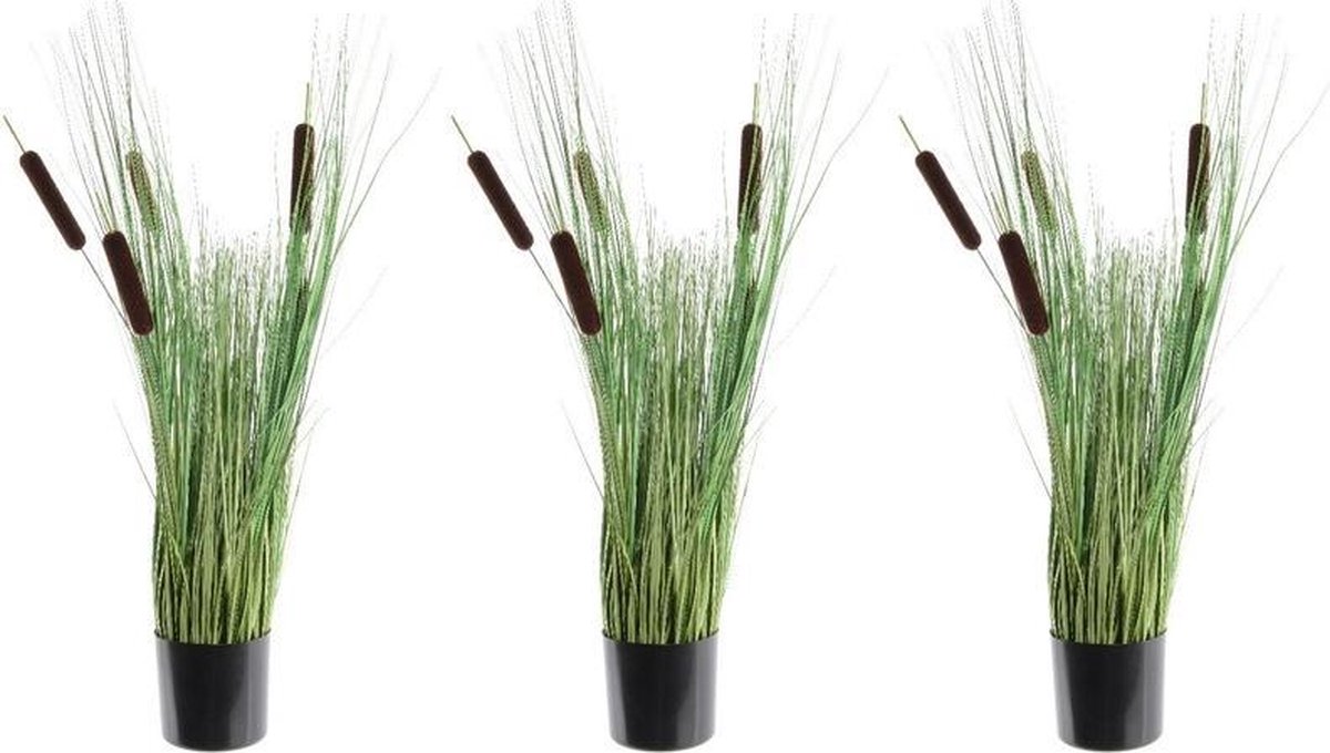 3x Groene grote Lisdodde grasplanten kunstplanten met sigaren 80 cm in zwarte pot - Kunstplanten/nepplanten - Grasplanten - Shoppartners