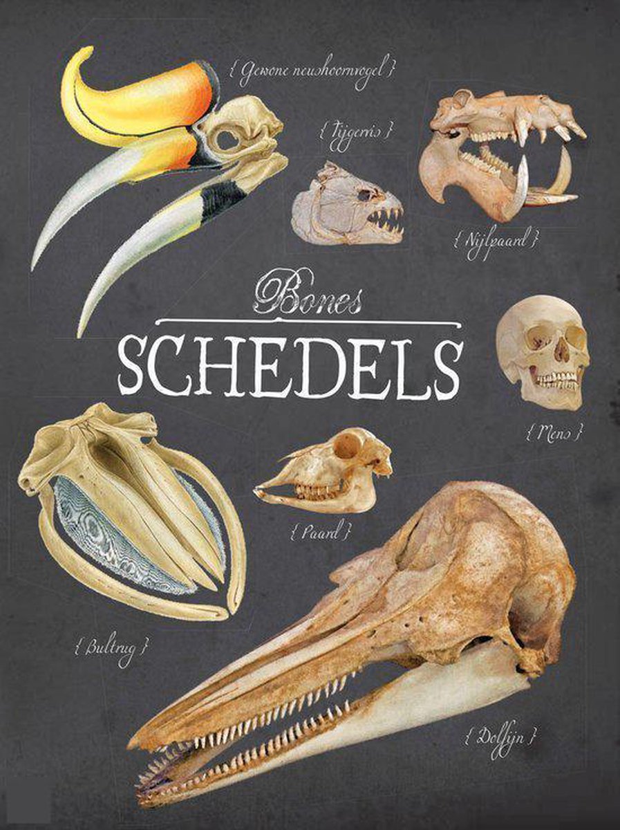 Bones schedels, Rob | | | bol.com