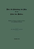 ber Die Bedeutung Der Pilze F r Das Leben Des Waldes