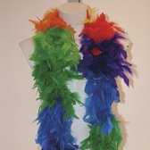 Boa multicolar