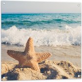 Tuinposter – Zeester op het Strand met Zee op Achtergrond  - 80x80cm Foto op Tuinposter  (wanddecoratie voor buiten en binnen)