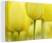 Canvas Schilderij Close-up van gele tulpen - 60x40 cm - Wanddecoratie
