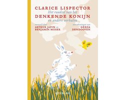 Omslag van Het raadsel van het denkende konijn en andere verhalen