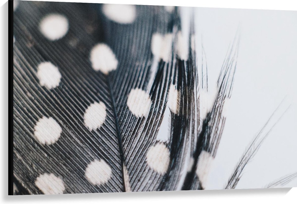 KuijsFotoprint Canvas - Veer met Stippen in Zwart Wit - 120x80cm Foto op Canvas Schilderij (Wanddecoratie op Canvas)