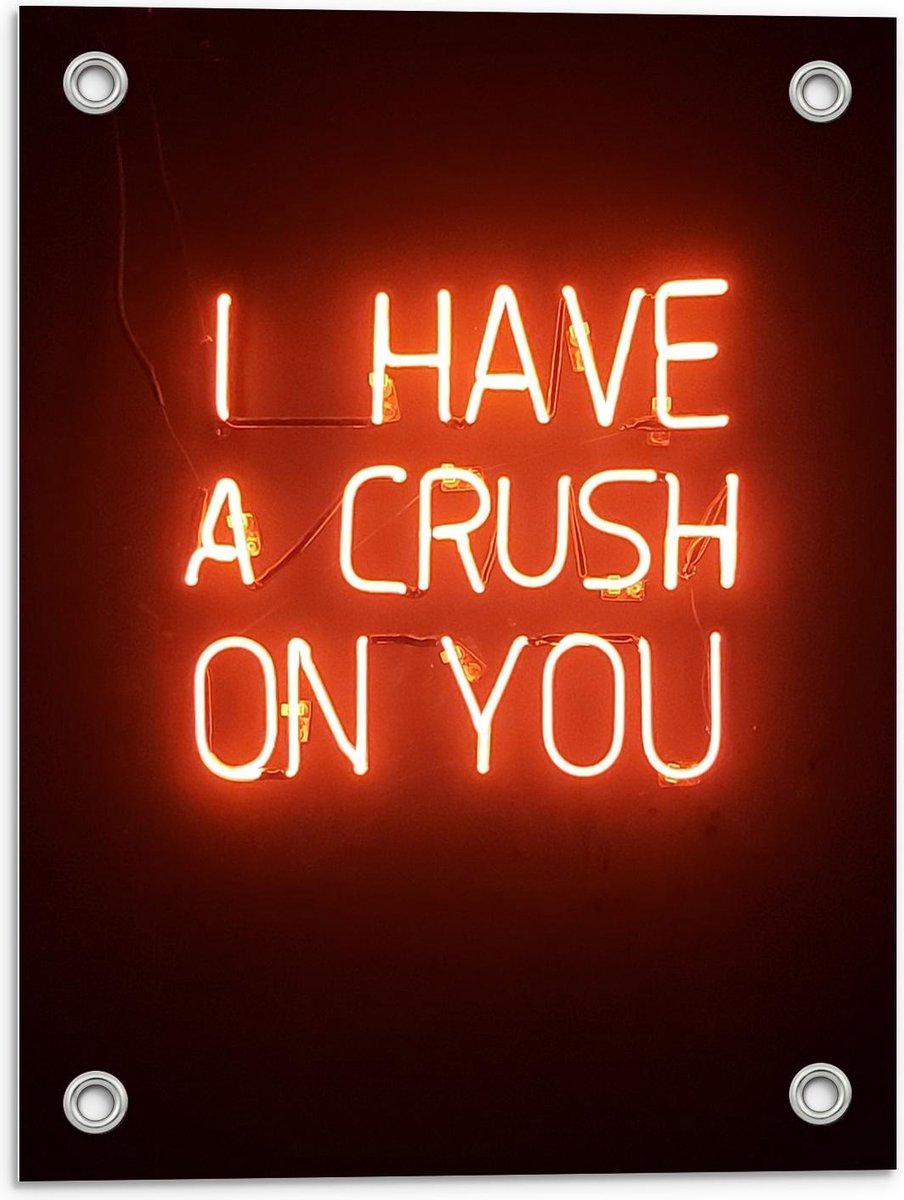 Tuinposter Rode Neonletters ''I Have A Crush On You
