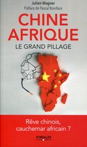 Chine Afrique, le grand pillage