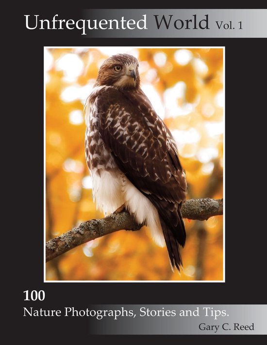 Unfrequented World Vol. 1 - cover