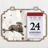 Scheurkalender 2023 Hond: cane corso