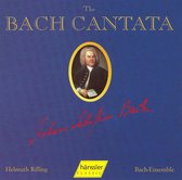 Bach Kantate, Vol. 36