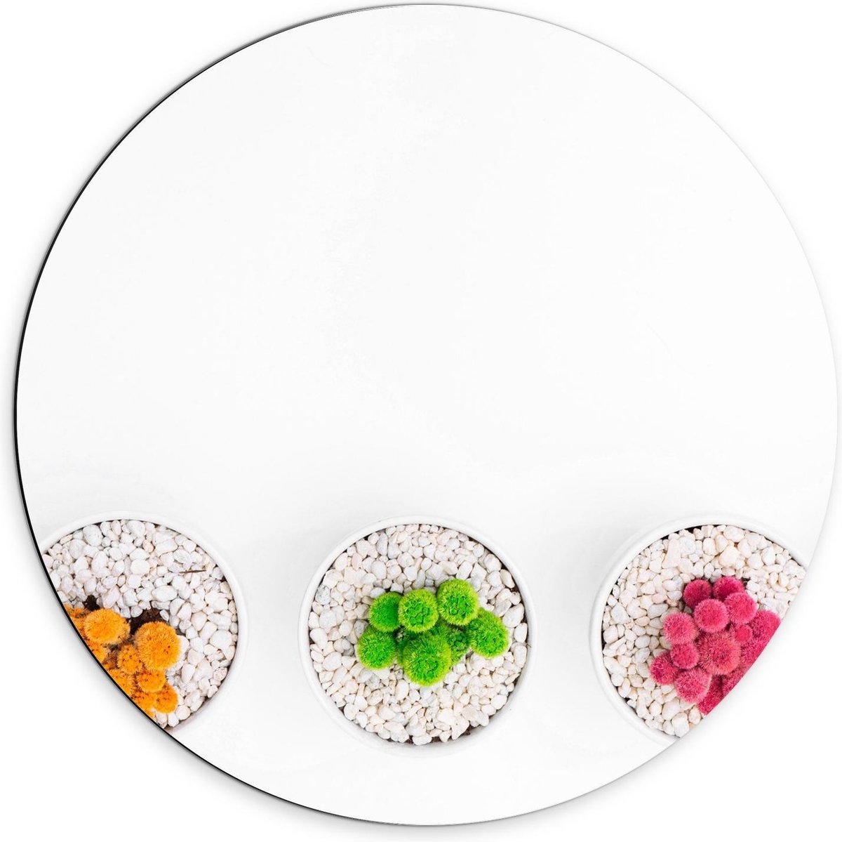 Dibond Wandcirkel - Gekleurde Cactuspotjes - 70x70cm Foto op Aluminium Wandcirkel (met oph
