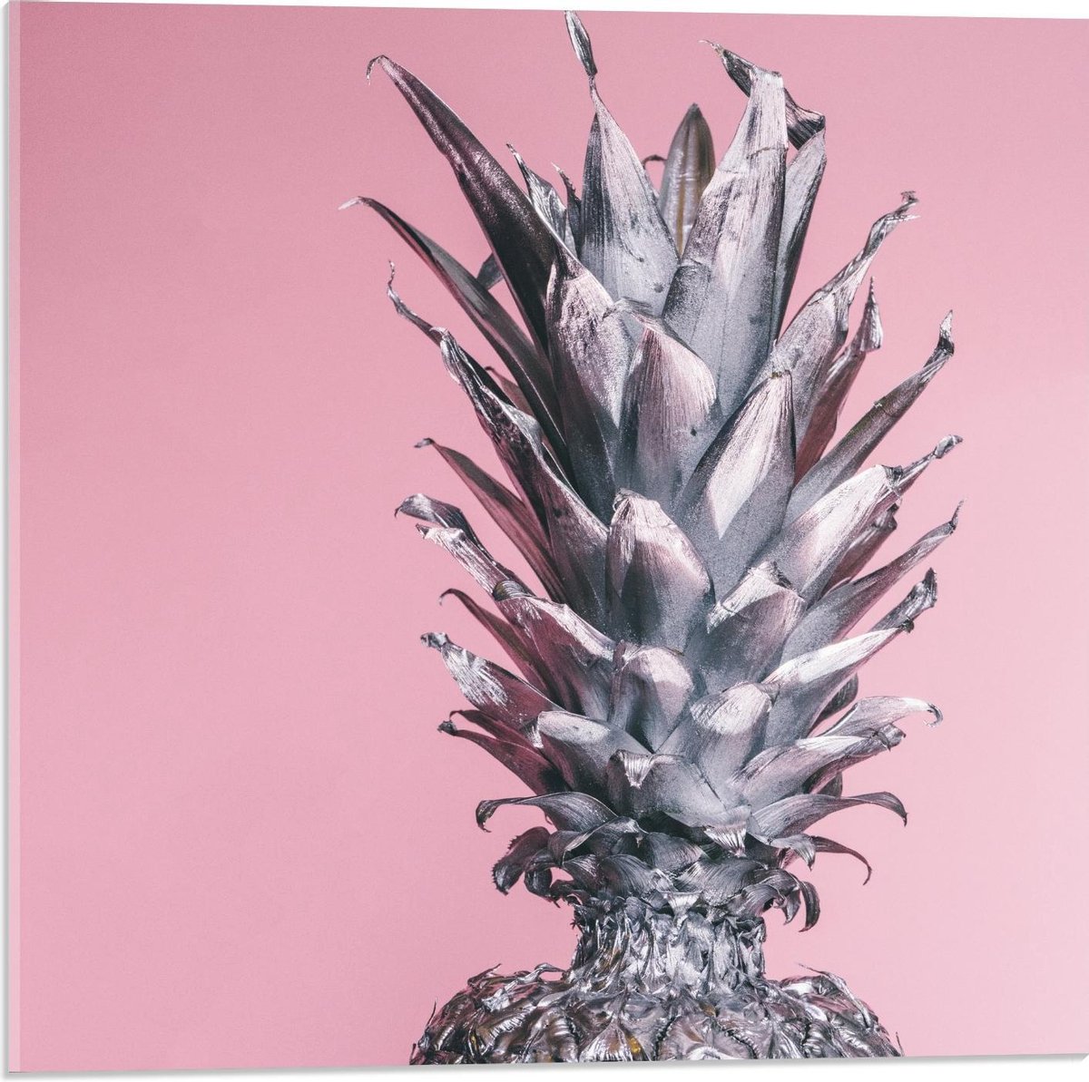 Acrylglas - Zilveren Ananas op Roze Achtergrond - 50x50cm Foto op Acrylglas (Met Ophangsysteem)