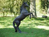 Tuinbeeld - bronzen beeld - Steigerend paard  H 100 cm - 100 cm hoog