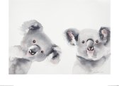 Aimee Del Valle Poster - Koalas - 40 X 50 Cm - Multicolor