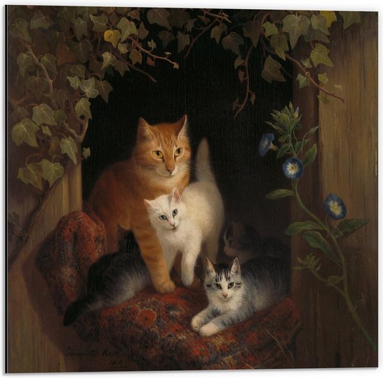 Dibond - Schilderij Katten in Huisje - 50x50cm Foto op Aluminium (Met Ophangsysteem)