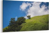 Schilderij - Groene heuvel — 100x70 cm