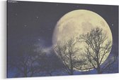 Schilderij - Under the  Moon light — 90x60 cm