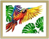 Foto in frame Kleurrijke papegaai, 3 maten, Premium print