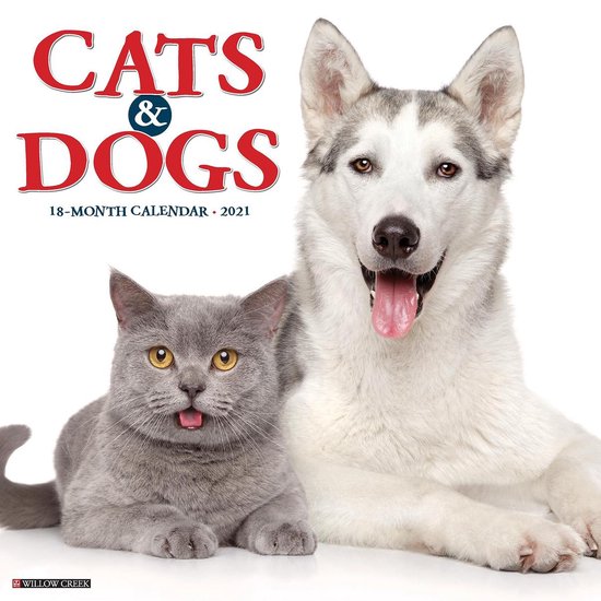 Cats and Dogs Kalender 2021  bol.com