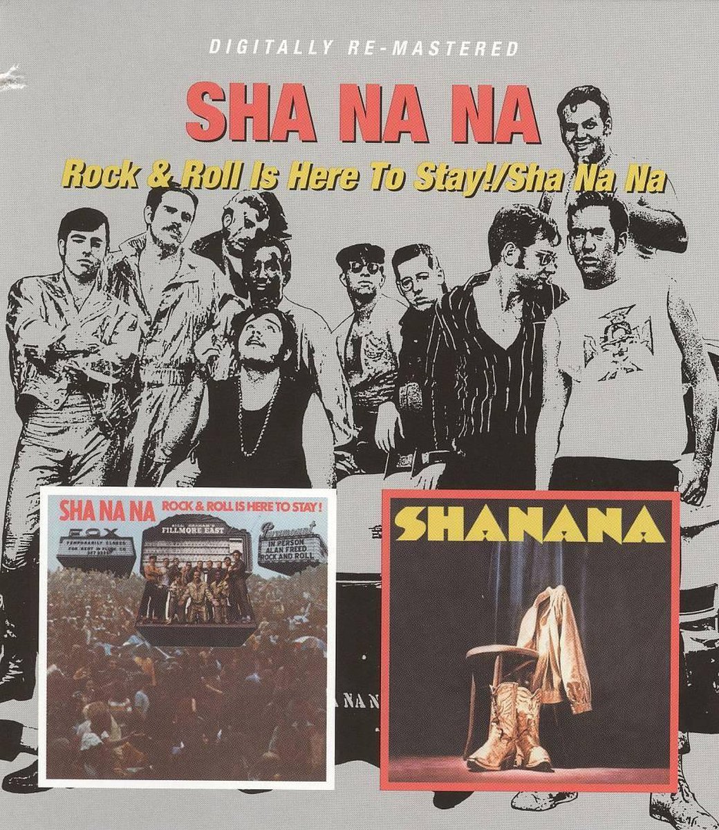 Rock & Roll Is Here To Stay!/Sha Na Na