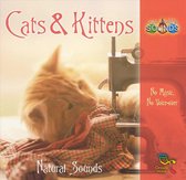Our World's Sounds: Cats & Kittens