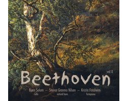 Beethoven: Sonatas, Vol. Ii