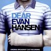 Dear Evan Hansen - Musical