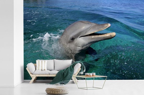 Papier peint photo peint photo vinyle - Verre curieux largeur 330 cm x hauteur 220 cm - Tirage photo sur papier peint (disponible en 7 tailles)