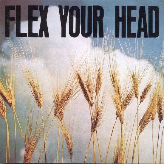 Foto: Various artists flex your head cd 