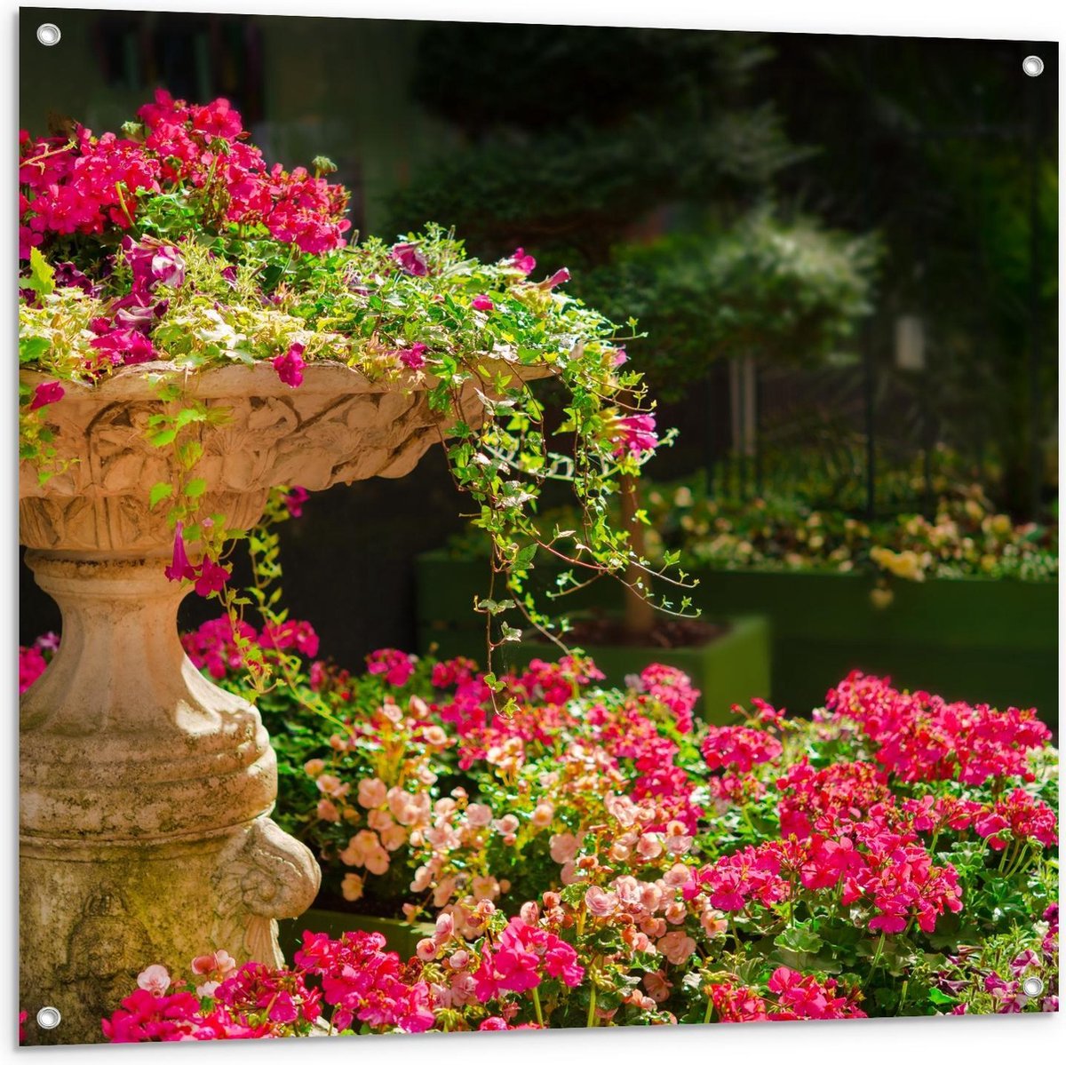Tuinposter – Roze Bloemenstruik met Fontein - 100x100cm Foto op Tuinposter (wanddecoratie