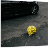 Dibond - Neergestorte Gele Ballon - 100x100cm Foto op Aluminium (Met Ophangsysteem)