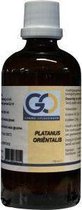 GO Platanus Orientalis 100 ml