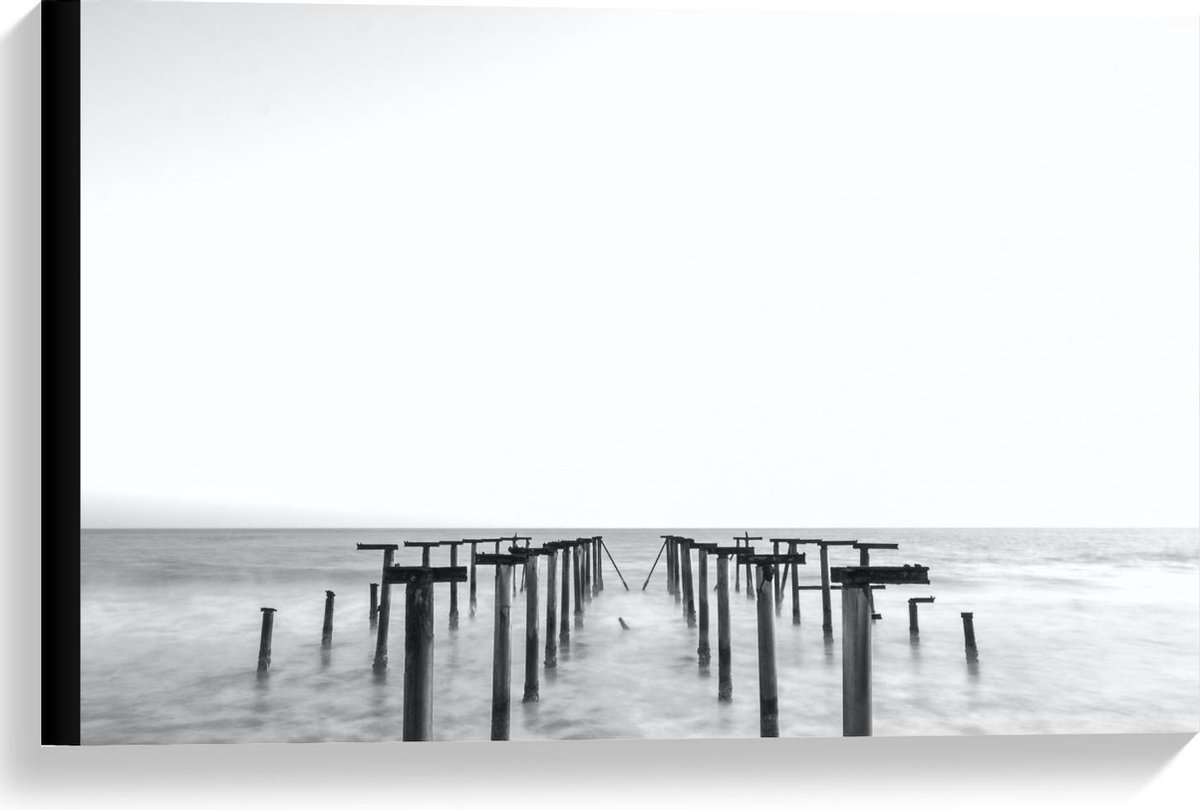 Canvas - Palen in het Water Zwart - Wit - 60x40cm Foto op Canvas Schilderij (Wanddecoratie