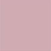 Plus Color Acrylverf, dusty rose, 60 ml/ 1 fles