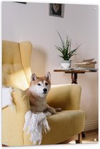 Tuinposter – Shiba inu Hond op Gele Stoel - 80x120cm Foto op Tuinposter  (wanddecoratie voor buiten en binnen)