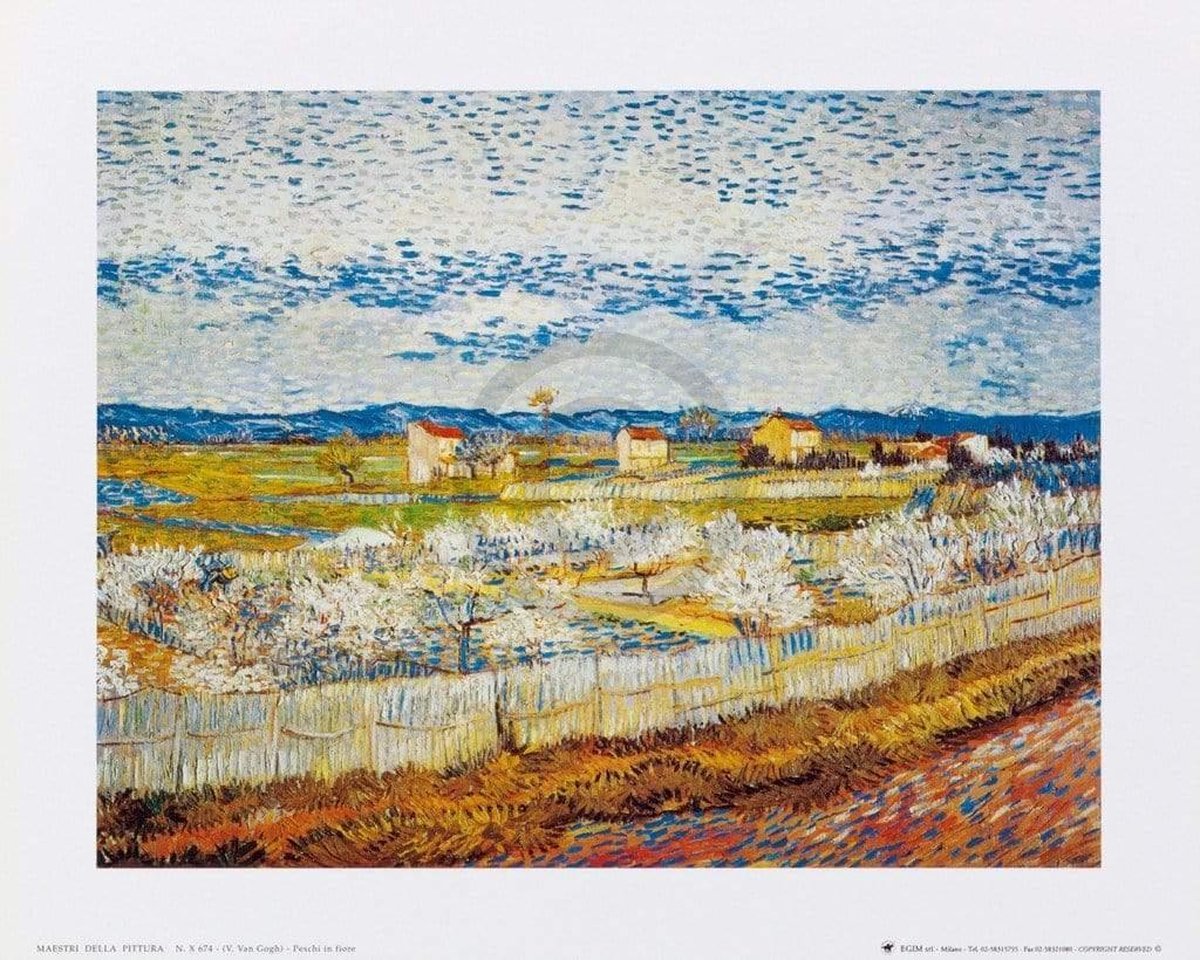 PGM Kunstdruk Vincent Van Gogh - Pesco in fiore 30x24cm Divers