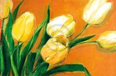 Elisabeth Krobs - Tulipa Nova Kunstdruk 135x90cm