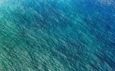 Komar Pure | blaupause | zee | fotobehang op vlies 400x250cm